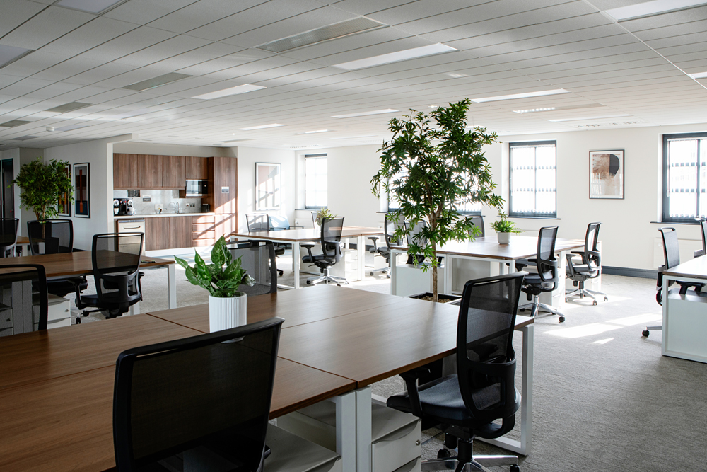 Grand Canal House image 4