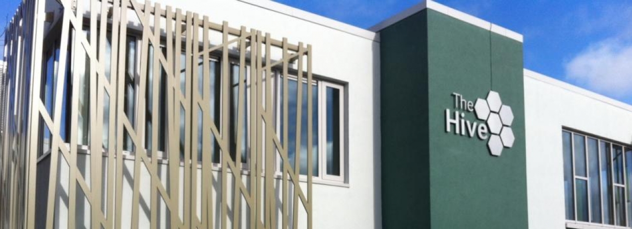 The Hive image 1