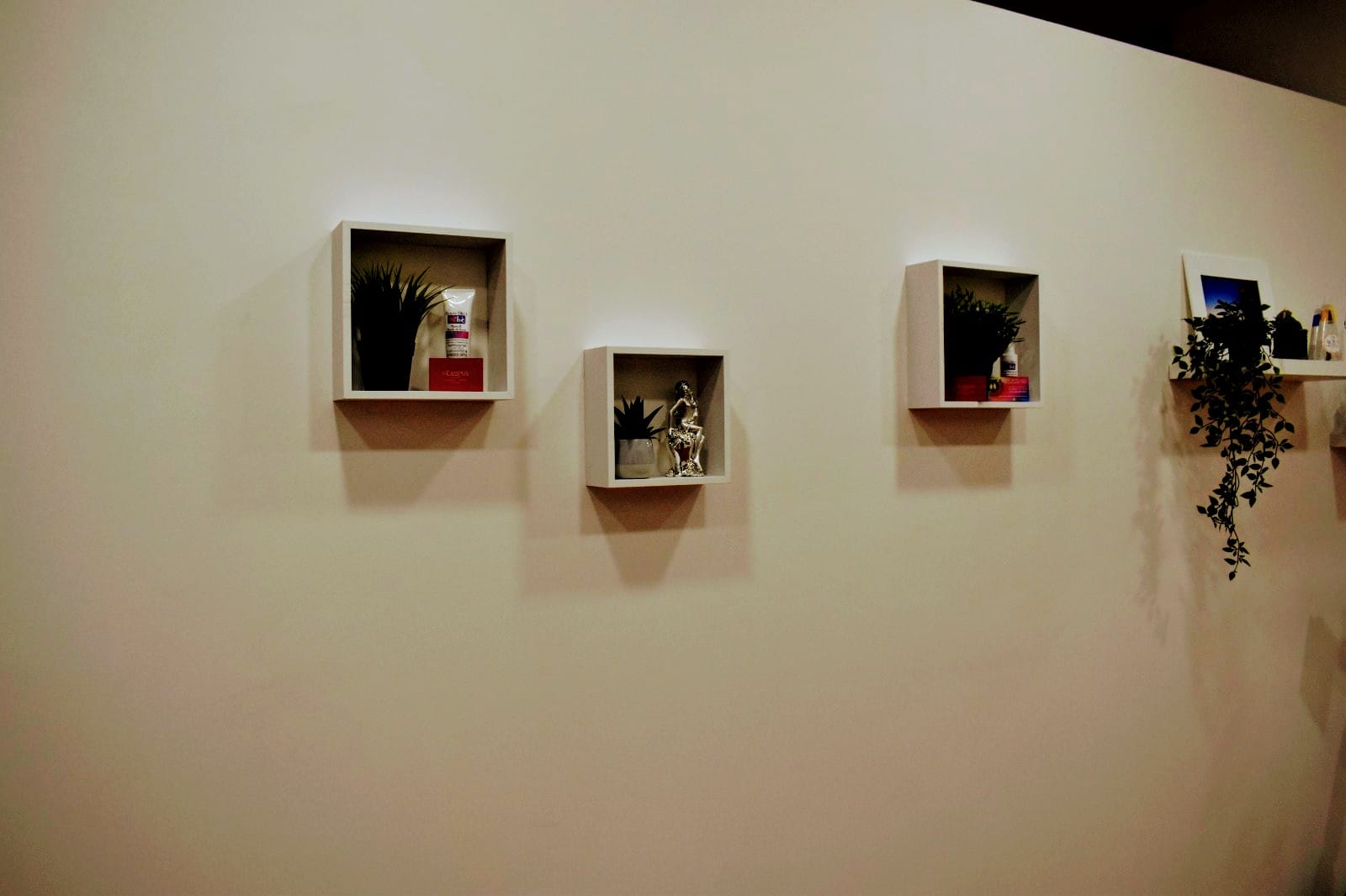 i-Campus Ancona image 2