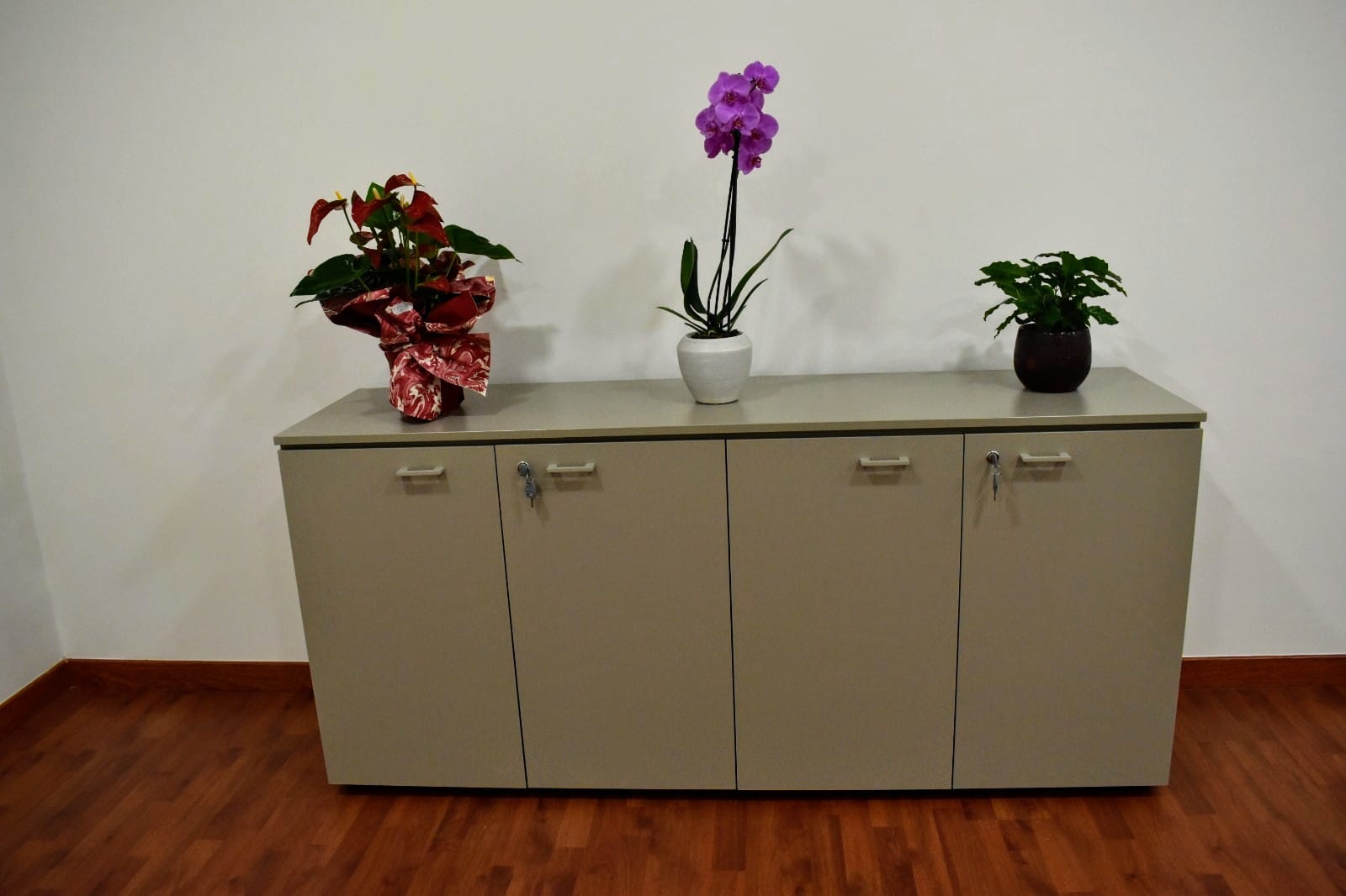 i-Campus Ancona image 4