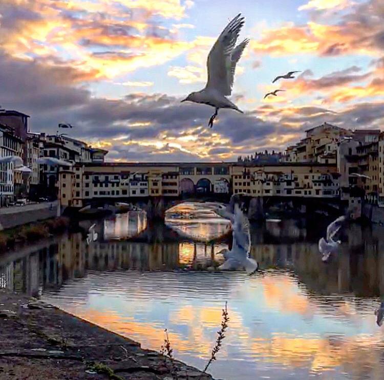 The Collective - Firenze image 3