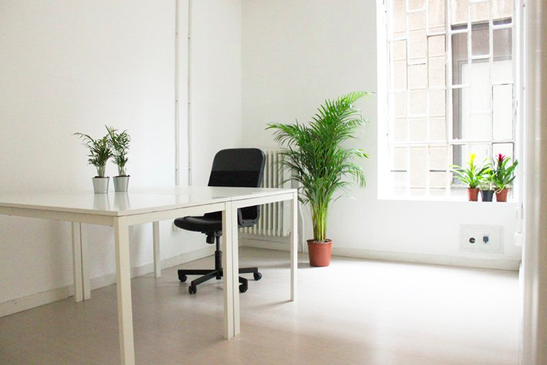 Campus Coworking Milano - Porta Romana image 2