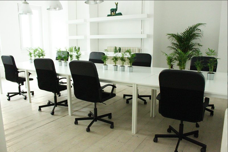 Campus Coworking Milano - Porta Romana image 3