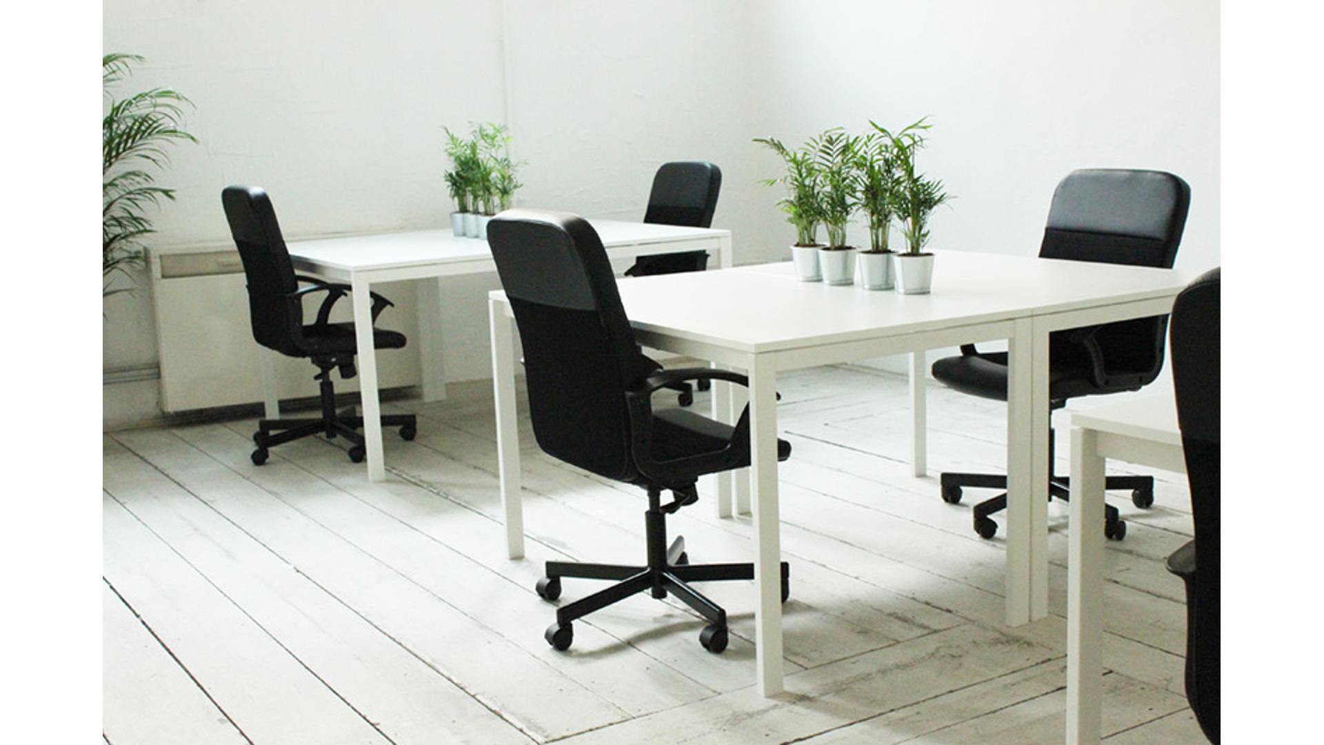 Campus Coworking Milano - Porta Romana image 5