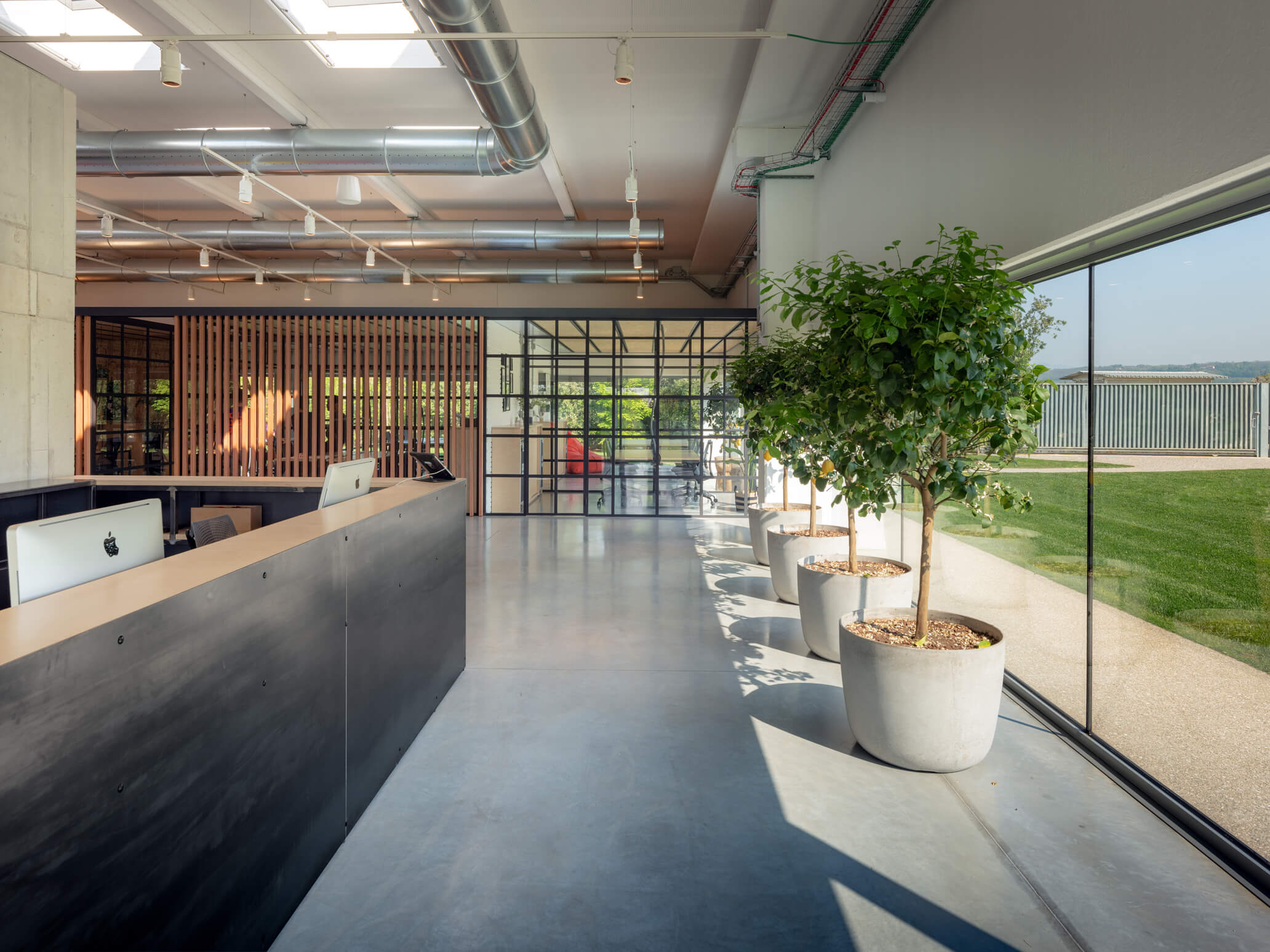 Infinite Area image 2