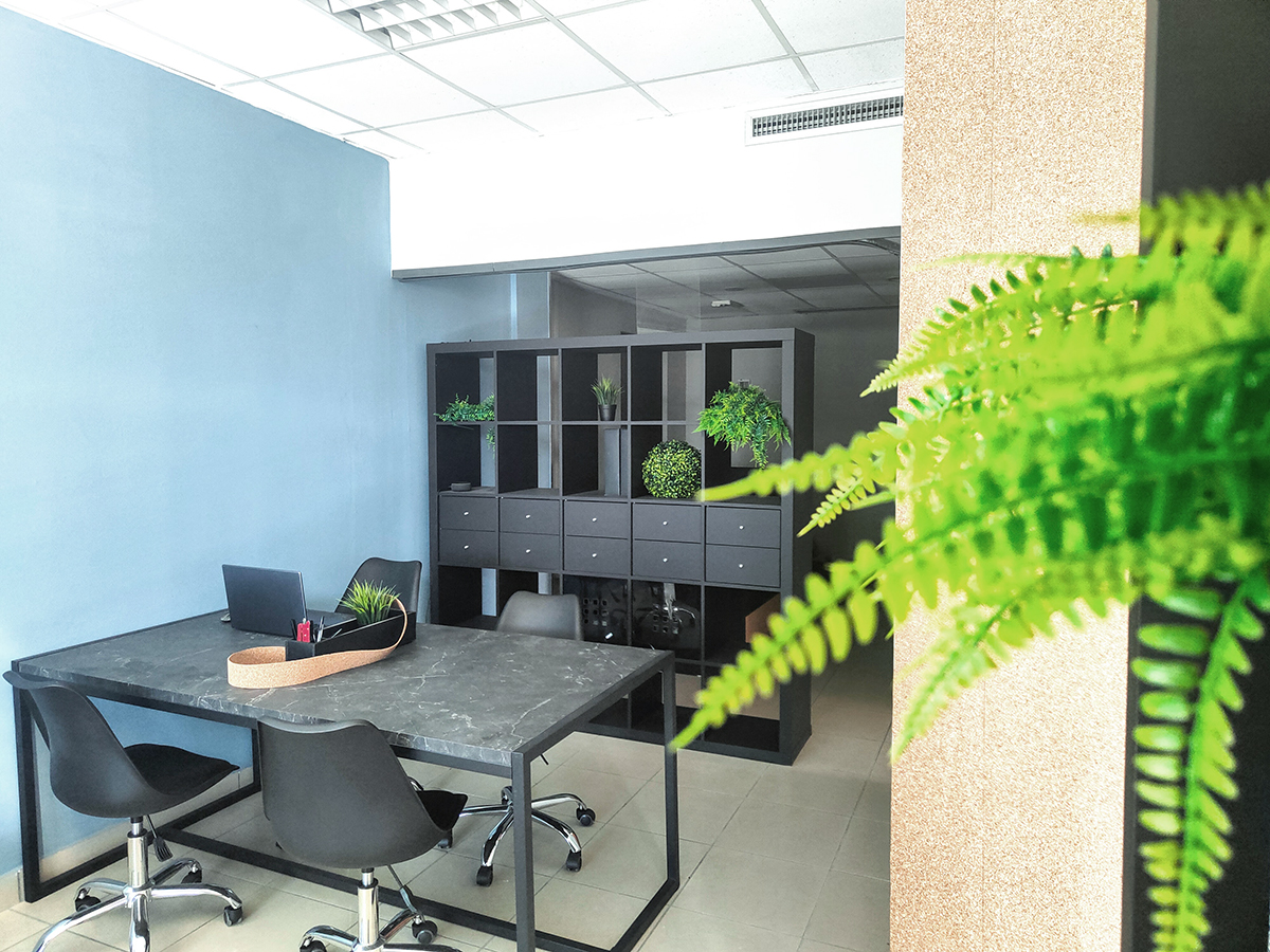 Nexta studio image 4