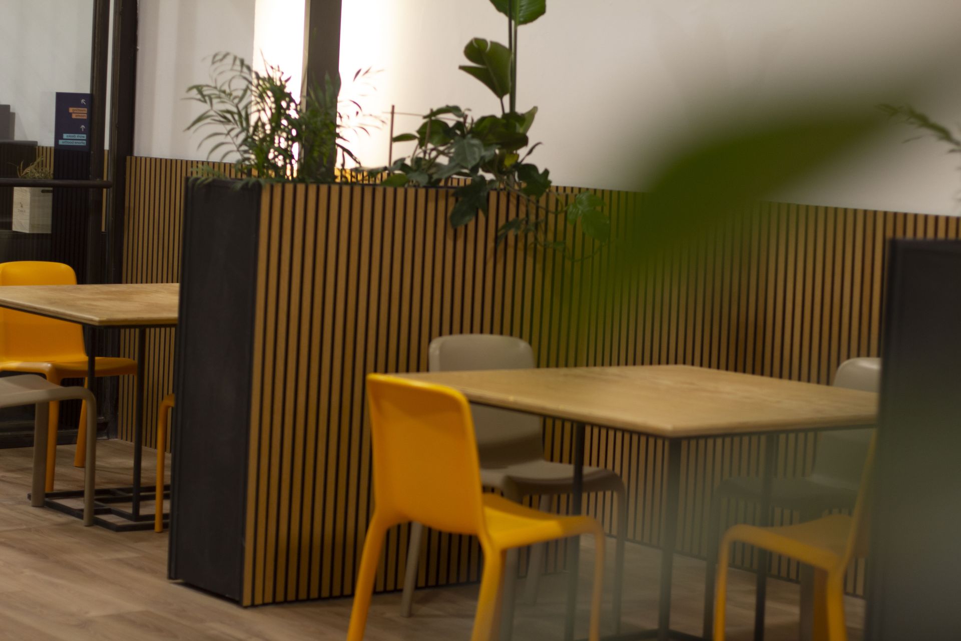 Magnisi Studio image 2