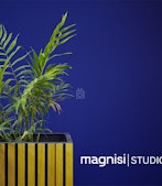 Magnisi Studio profile image