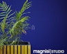 Magnisi Studio image 0