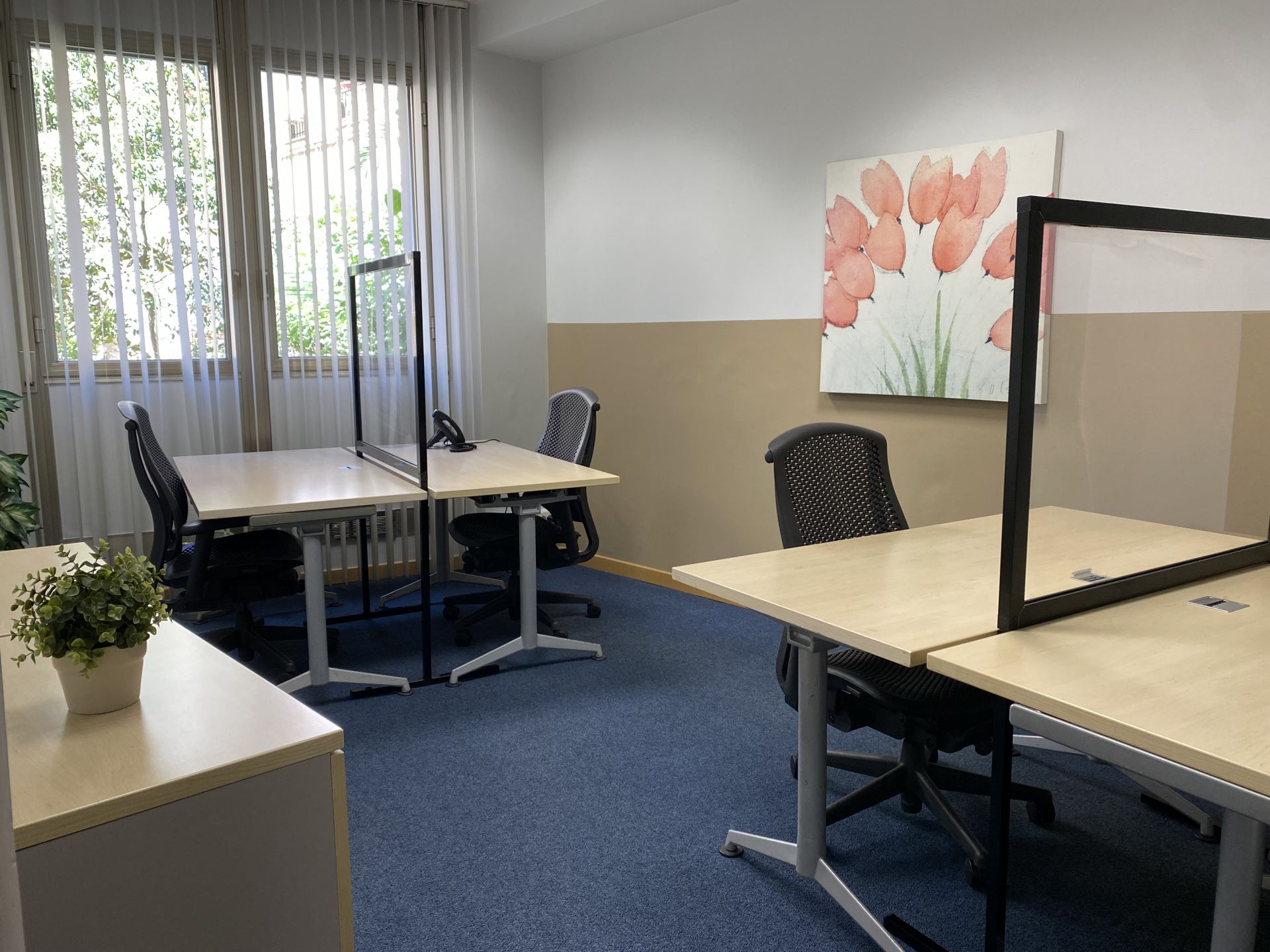 Pick Center SRL image 5