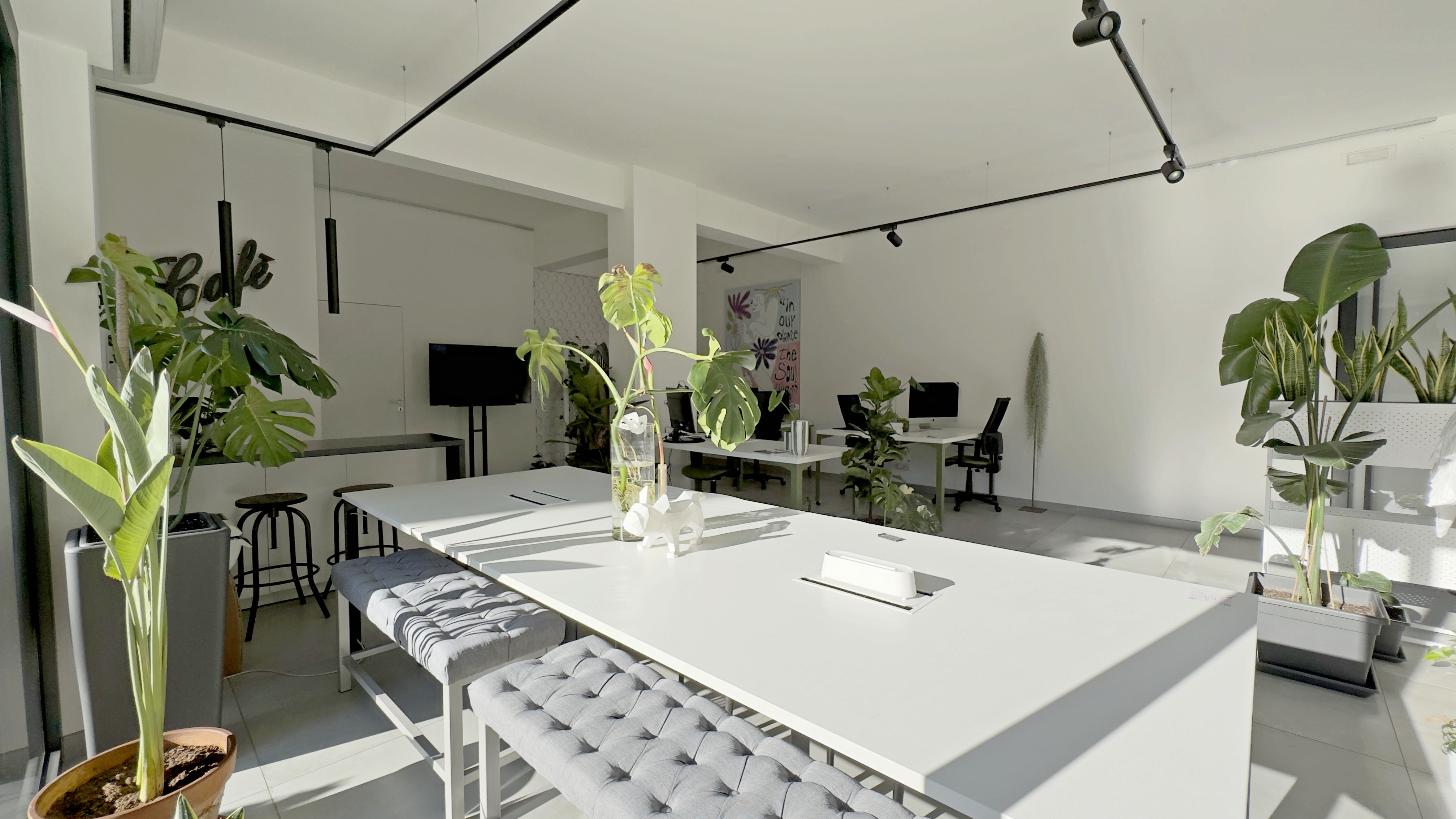 MIMASPAZIO image 2