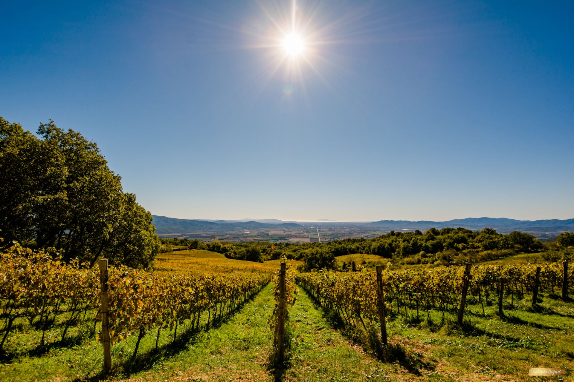 VALDONICA Winery & Residence image 5