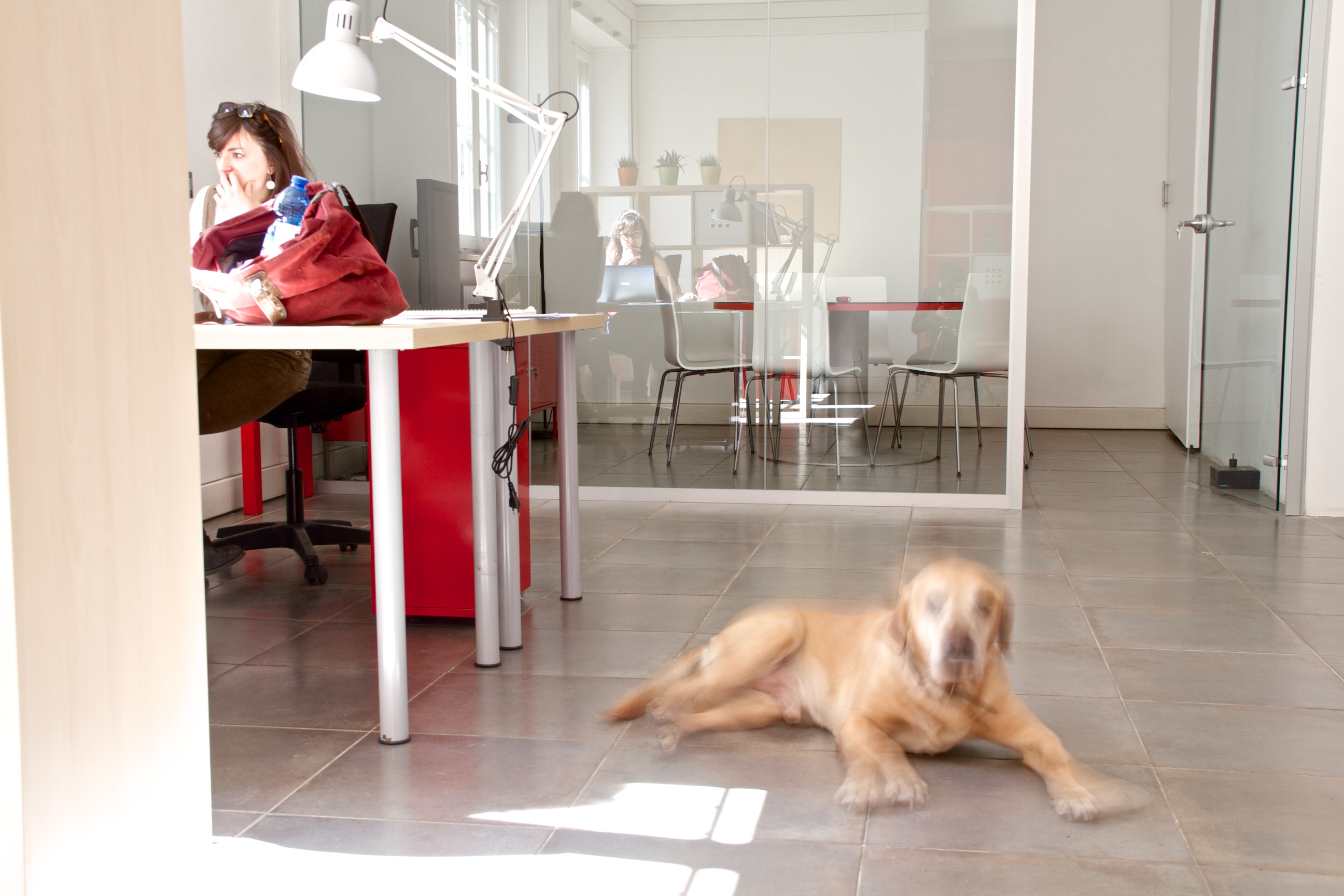 Adfarmandchicas image 2