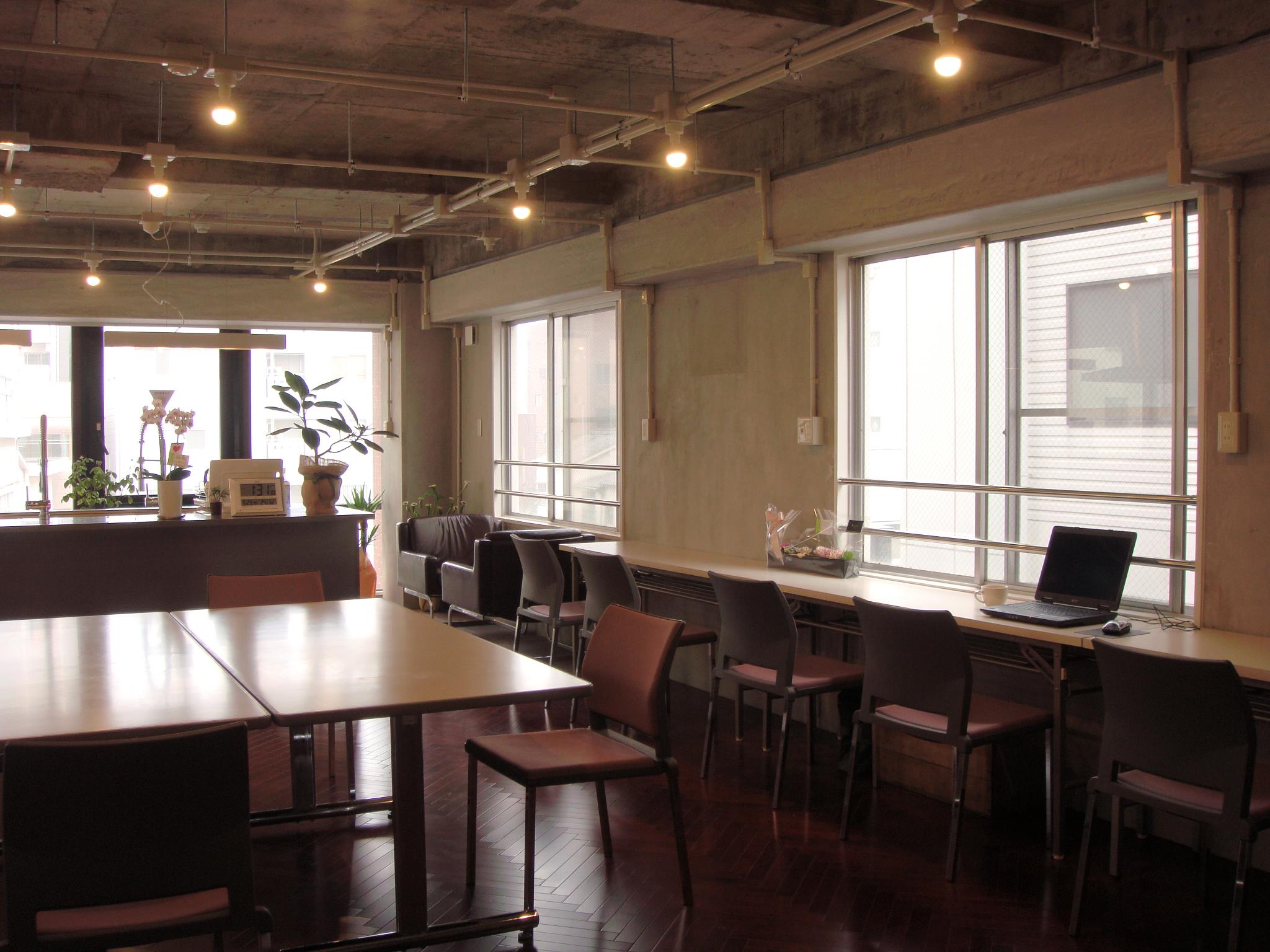 Brains Studio image 4