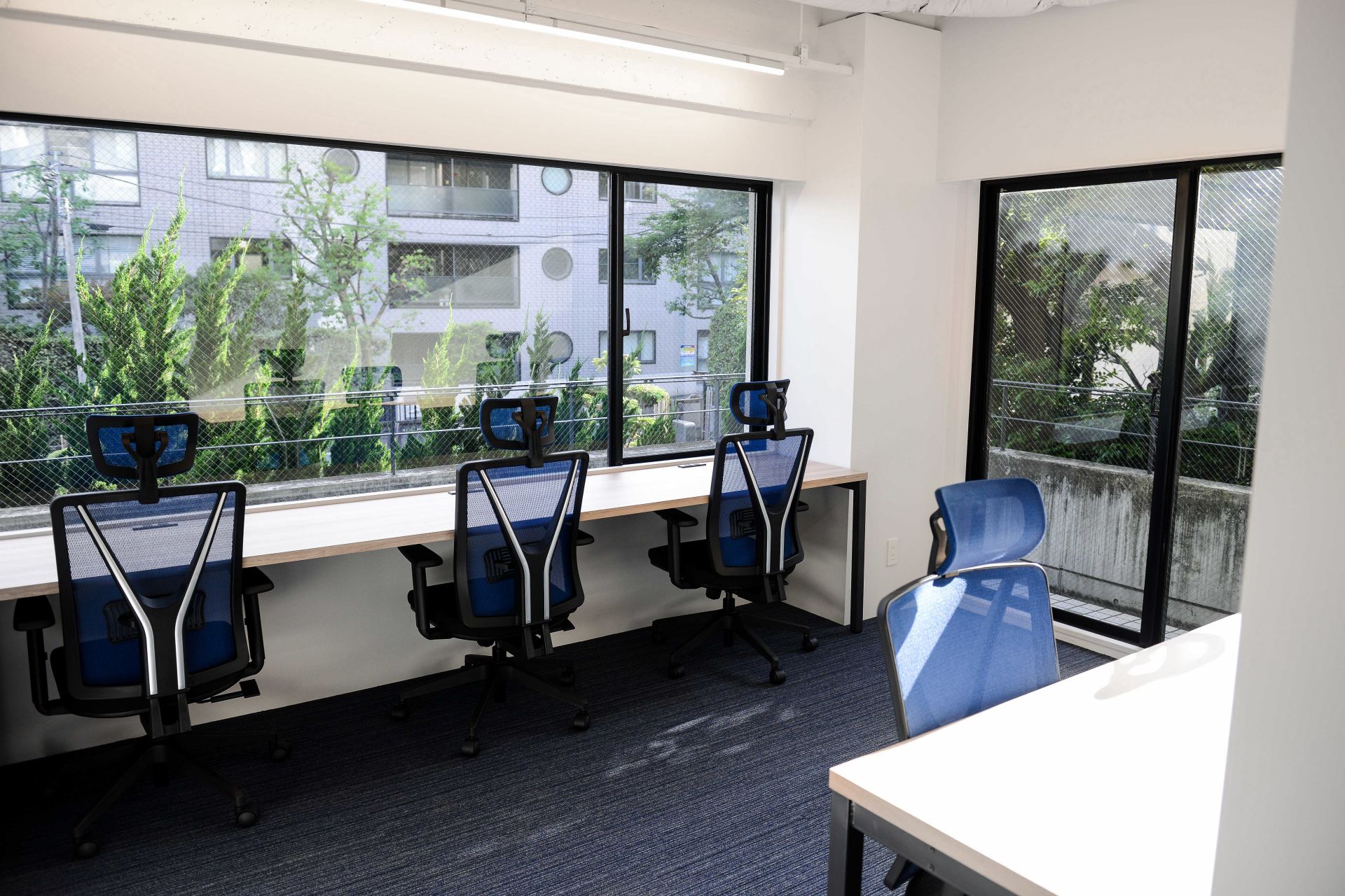 Blink Community image 5