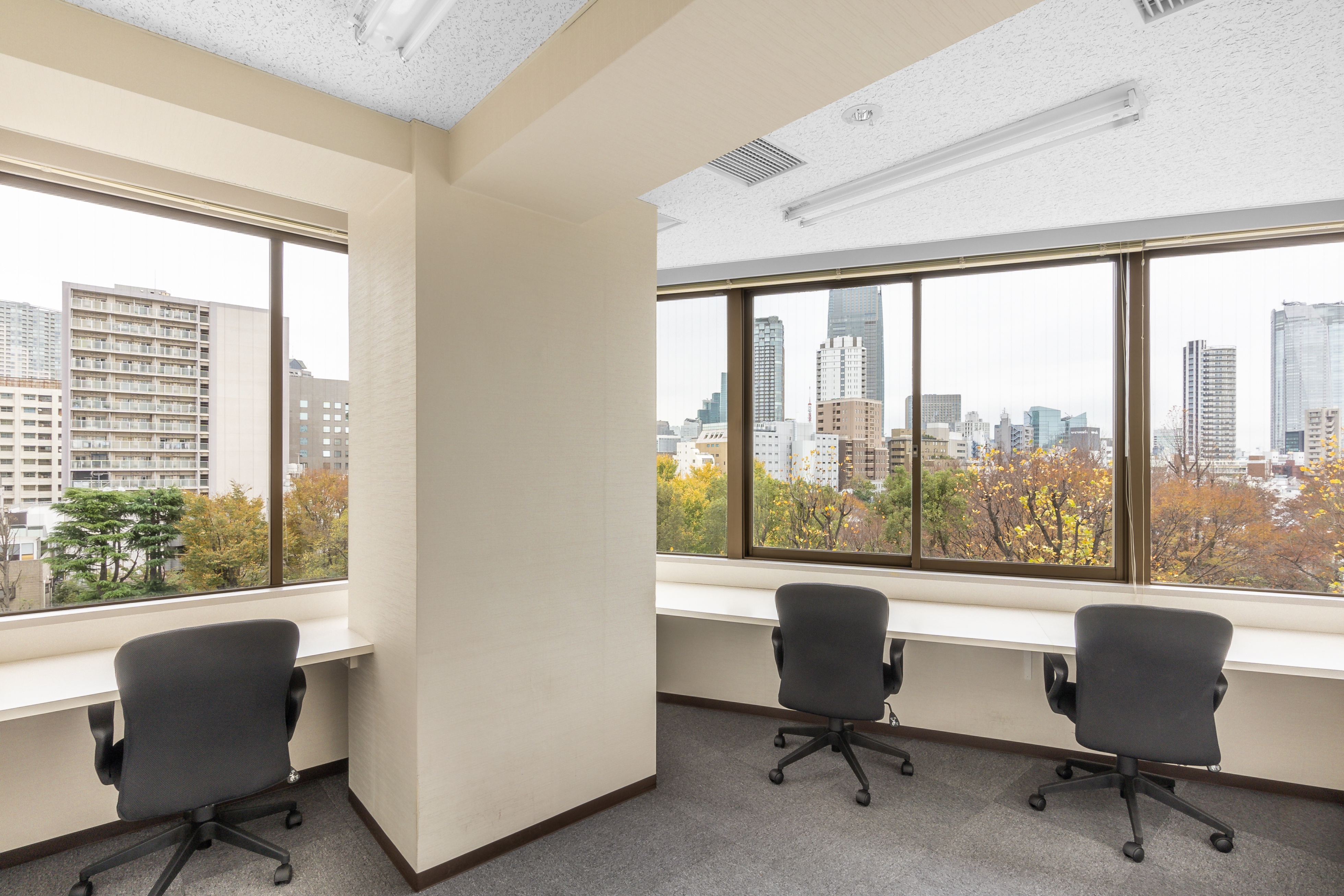 OpenOffice - Tokyo, Aoyama Central (Open Office) image 3