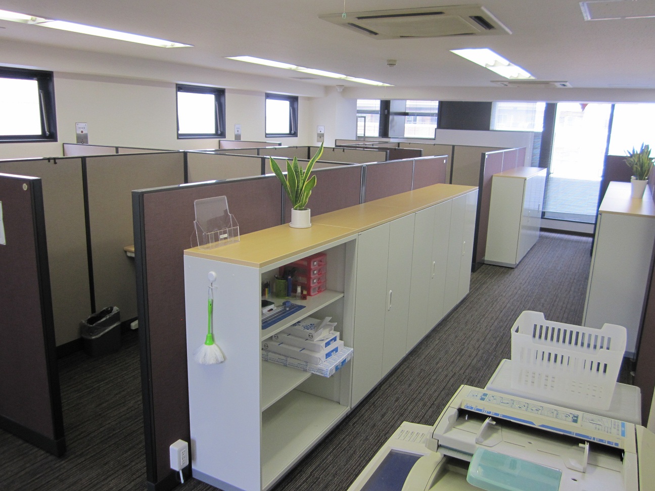 SoftOffice Senju image 2