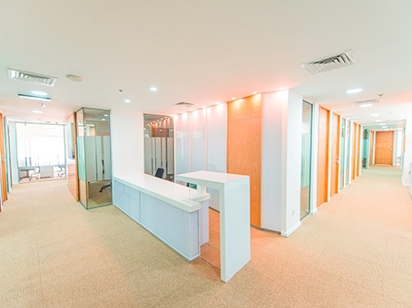 Amman, Gardens image 3