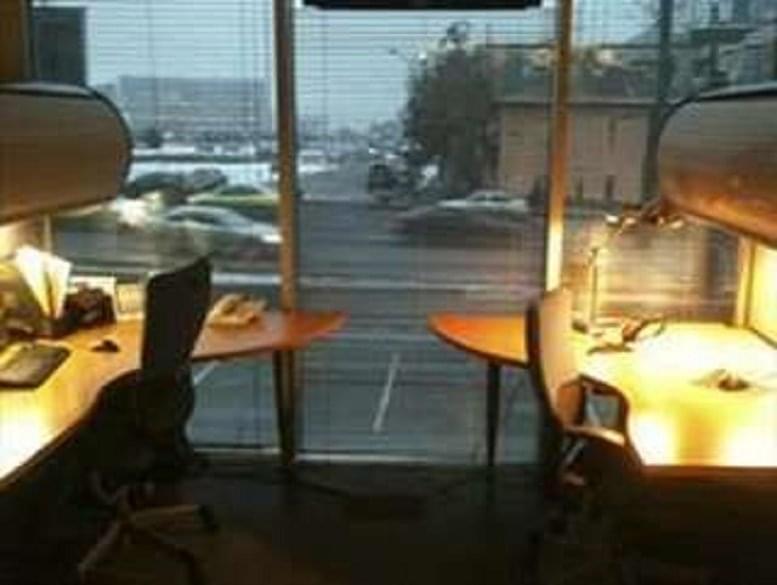 Veritas Brown  image 4