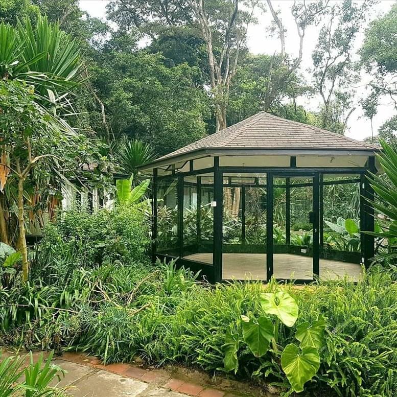 Hodihodi Coshare image 1