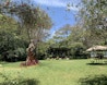 Ikigai Nairobi Lower Kabete image 10
