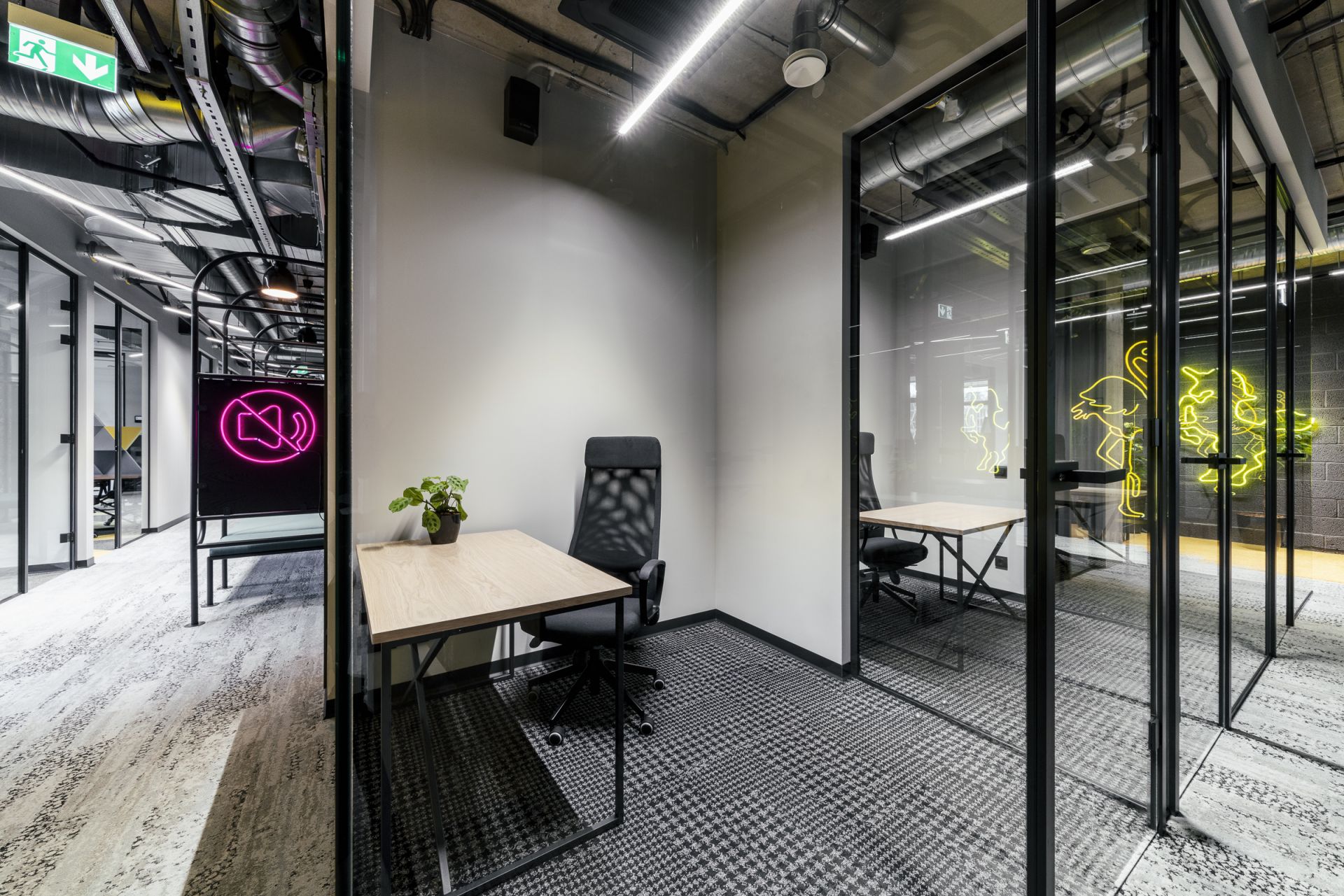 Teikums Teodors image 5