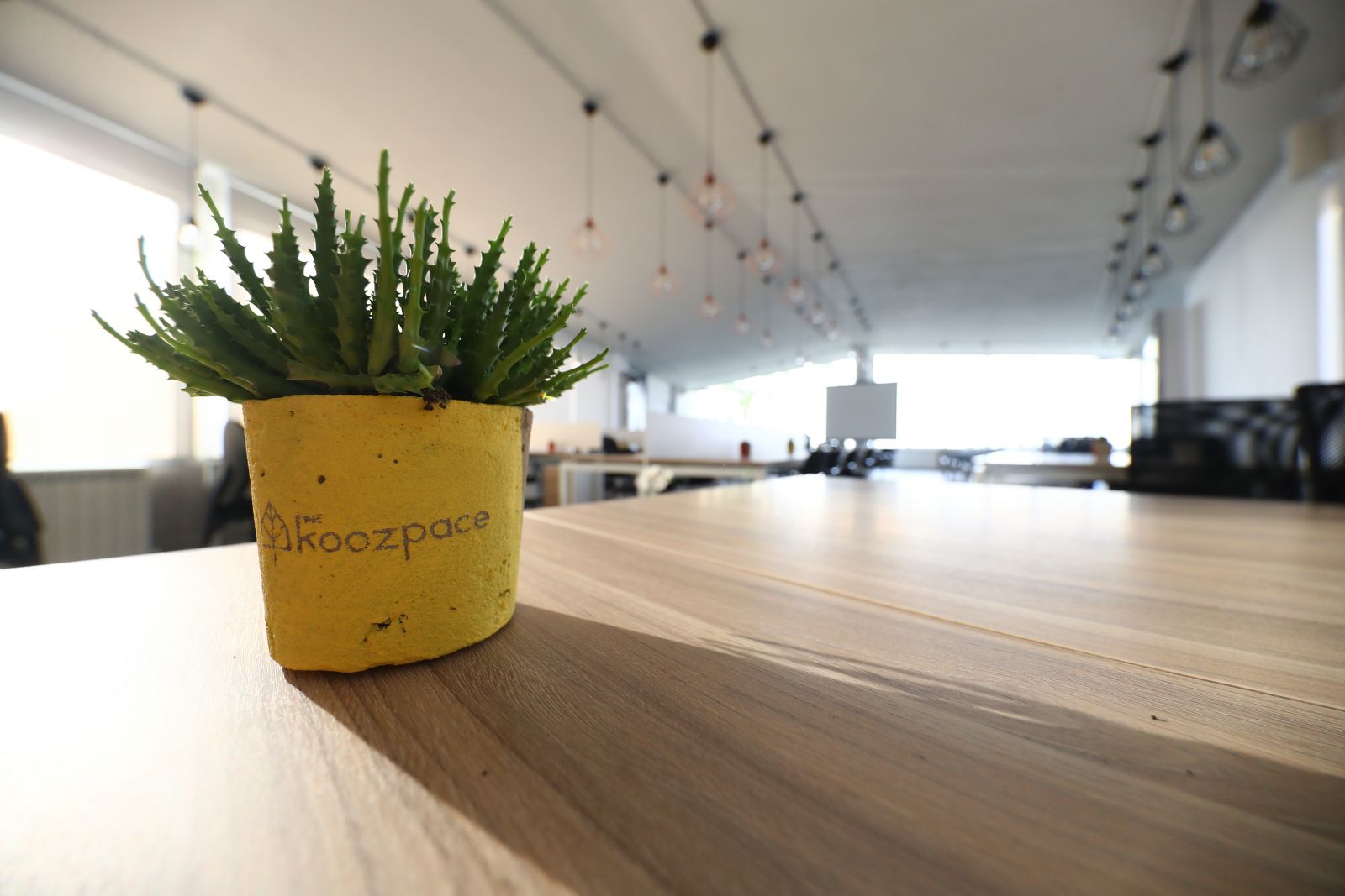 The Koozpace image 4