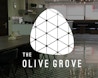 The Olive Grove image 0