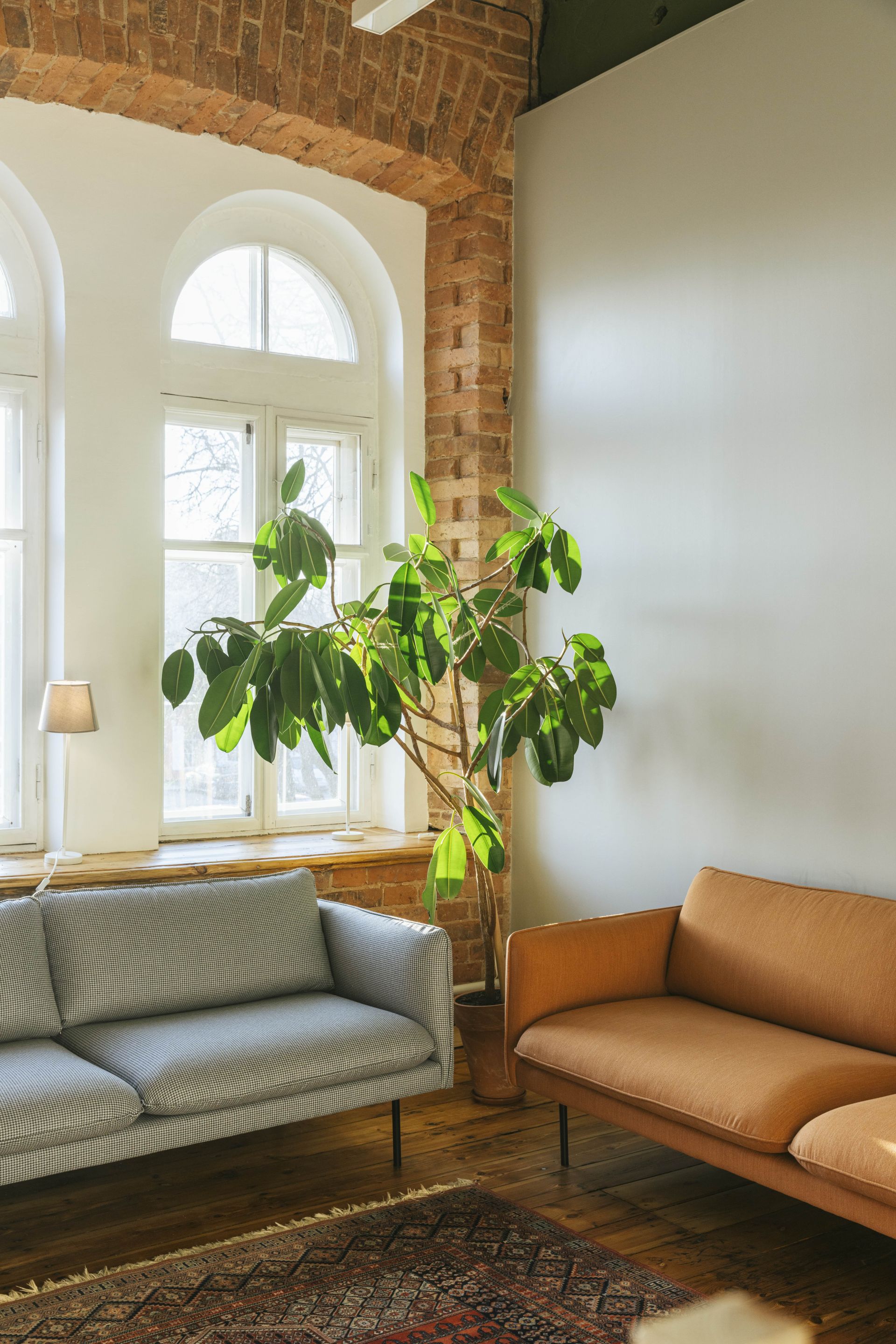 Siaures Stotis image 3