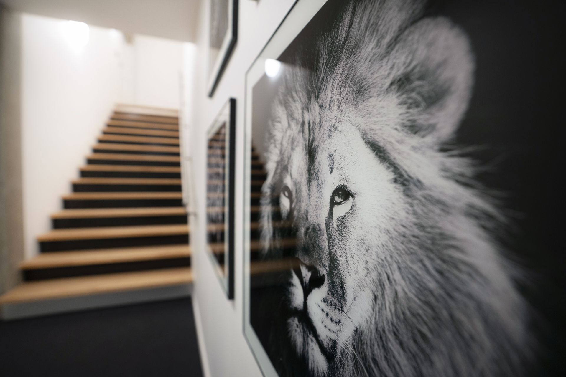 BELVAL BUSINESS CENTER Coworking Spaces image 2