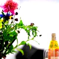 Green Office image 3