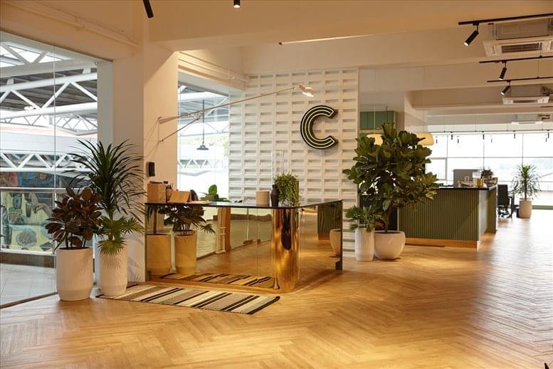 Common Ground image 4