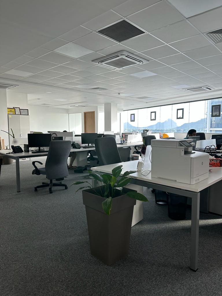 Vortex Mauritius image 3