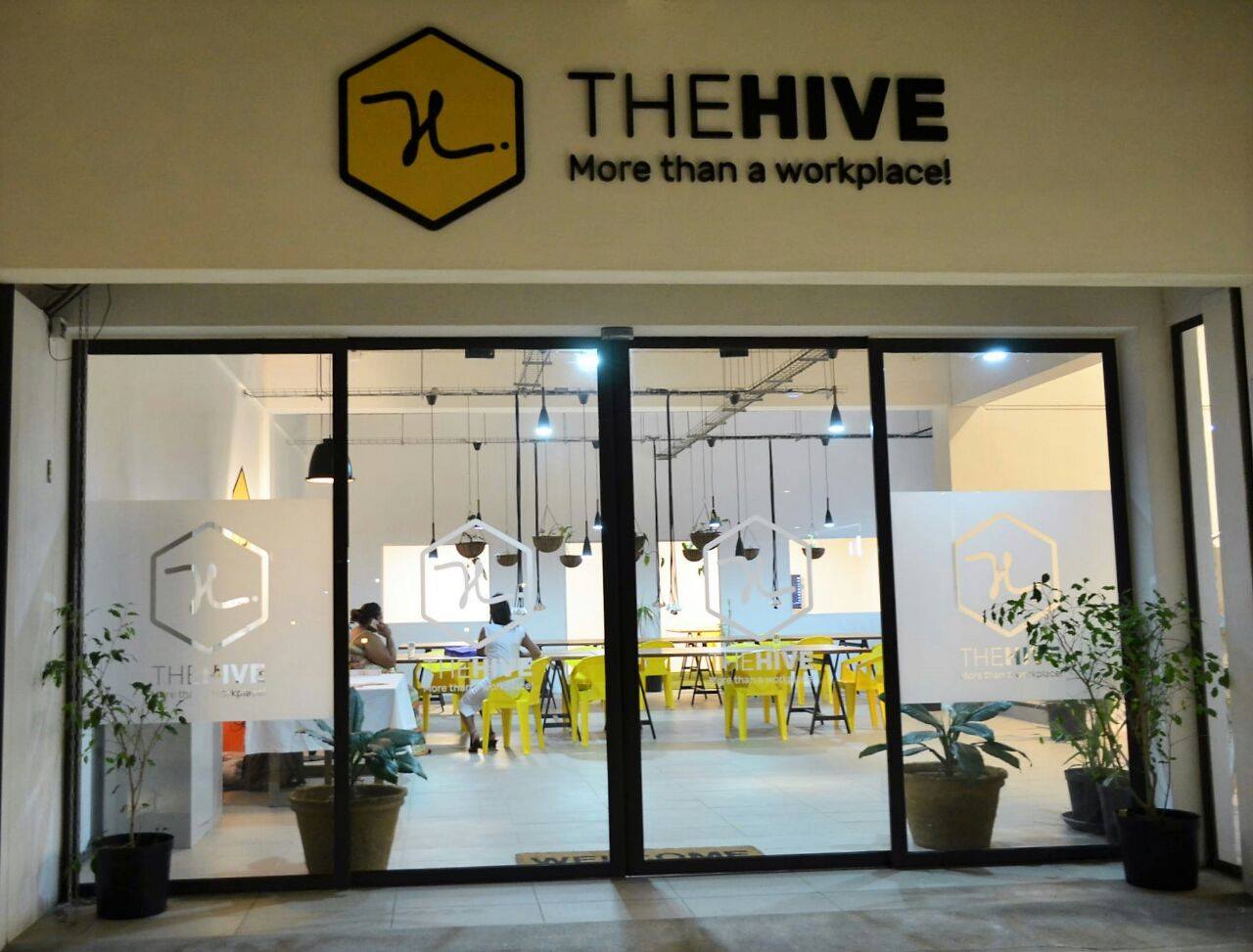 The Hive Saint Pierre image 4