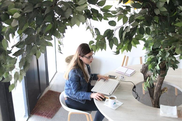 Aldea Networking image 4