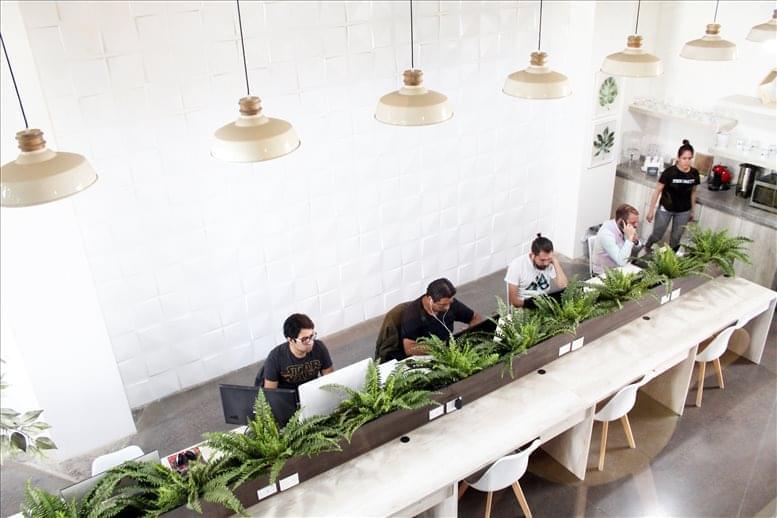 Aldea Networking image 5