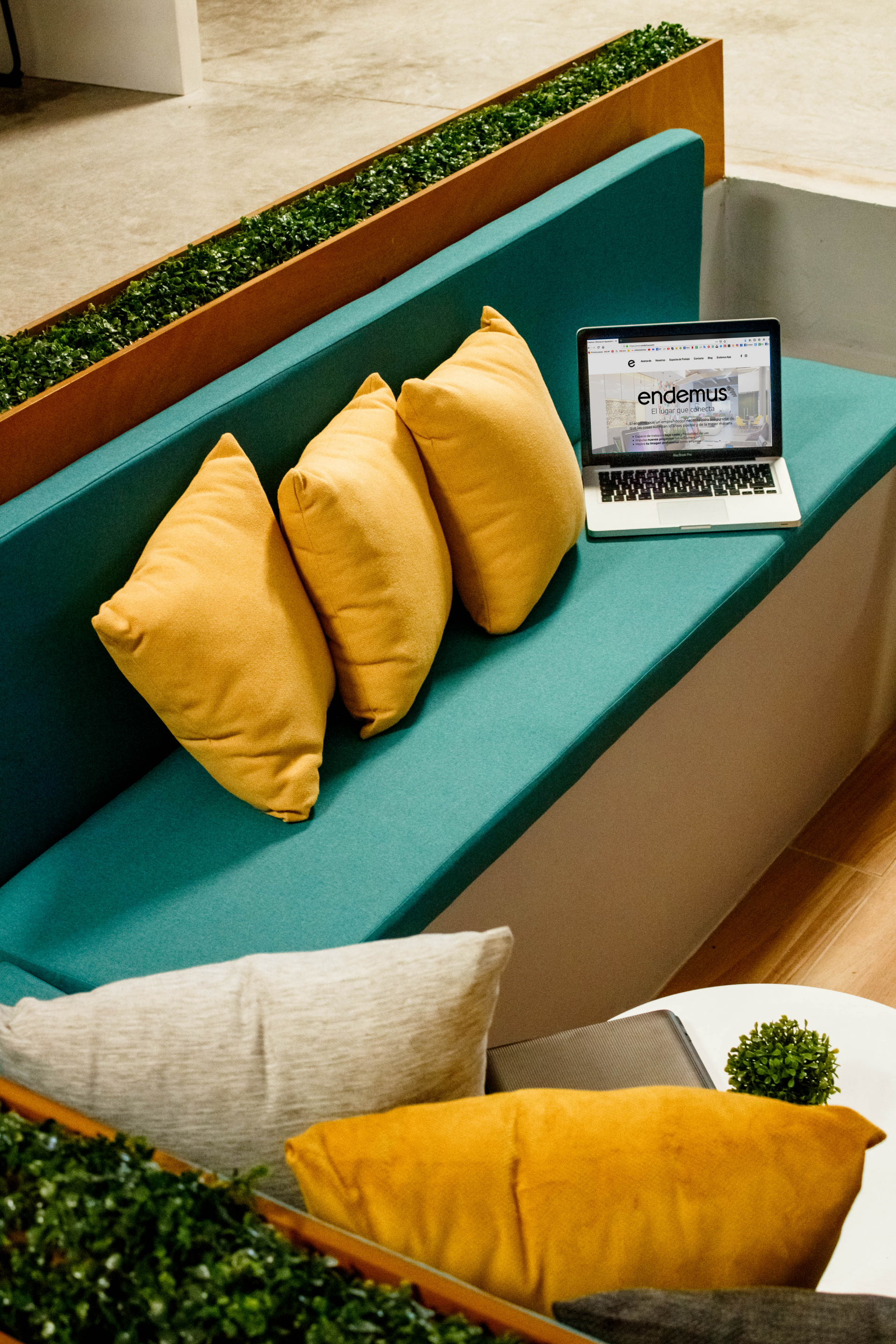 Endemus Coworking image 4