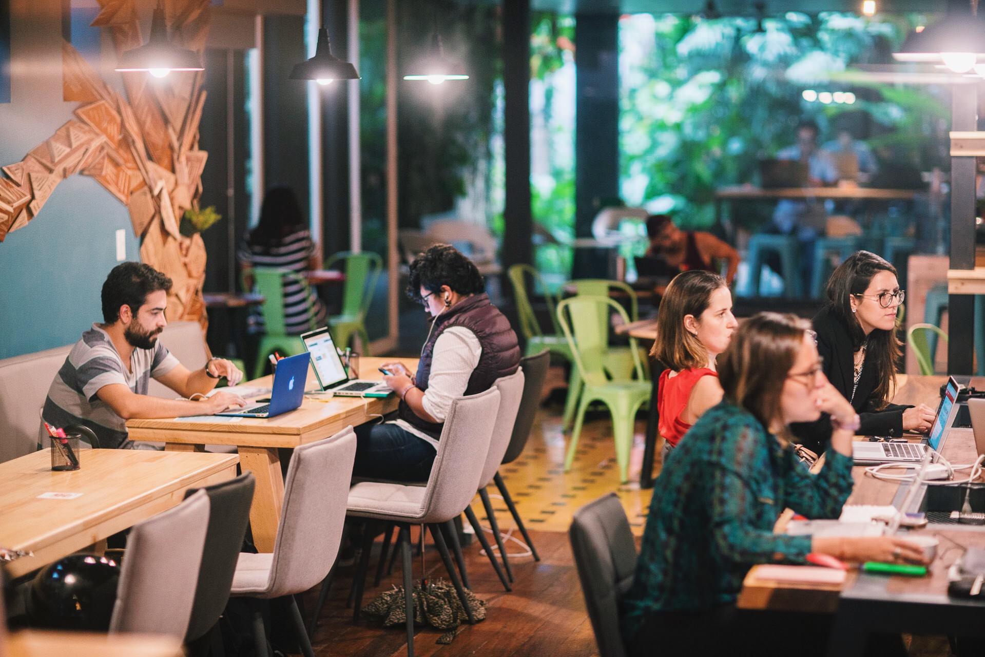 Selina Cancun Laguna image 5