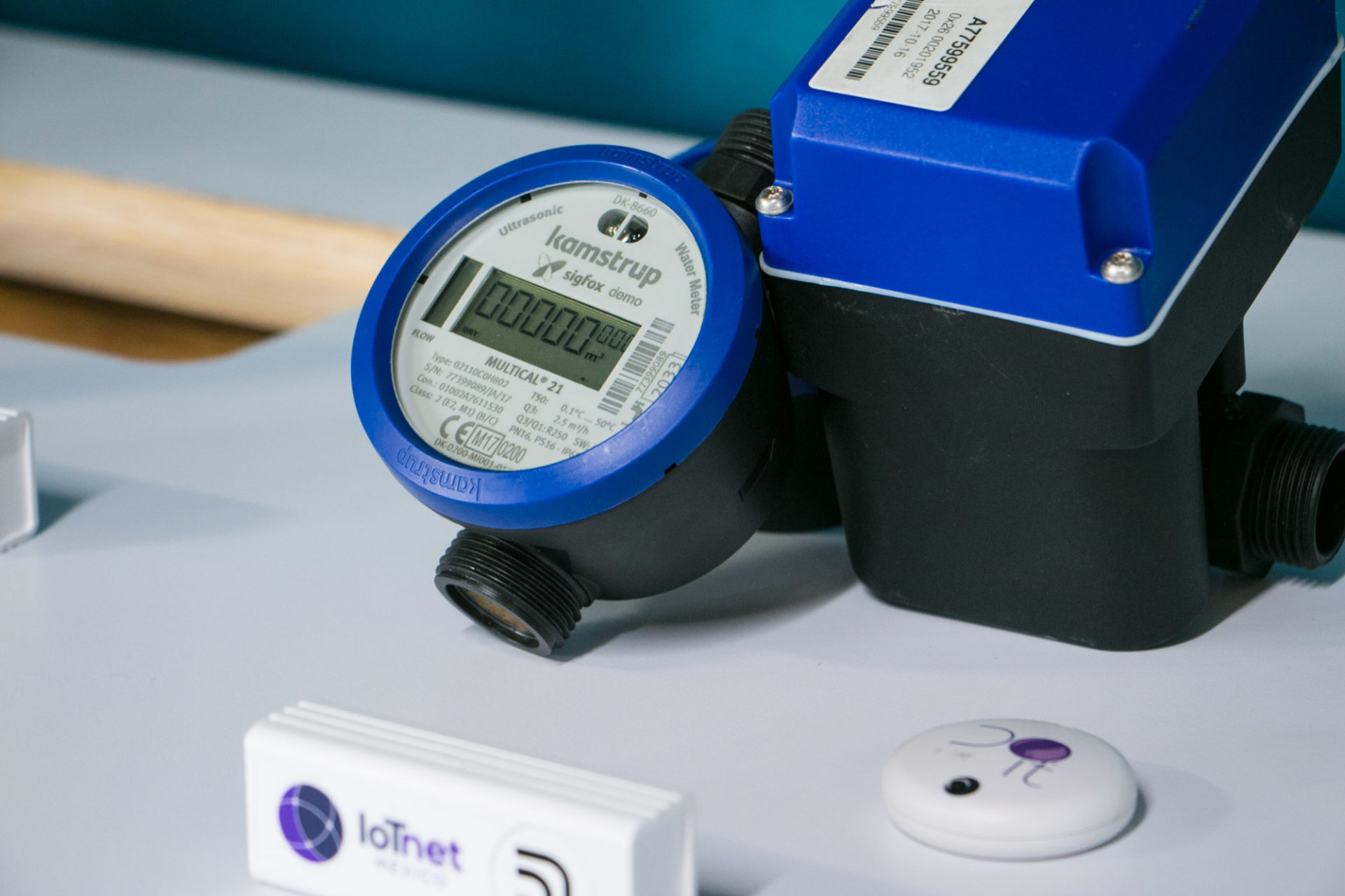 Chihuahua Living Lab image 5