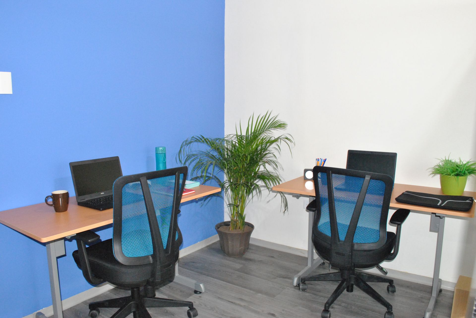 CUATRO TORRES - Pekin 1809 image 5