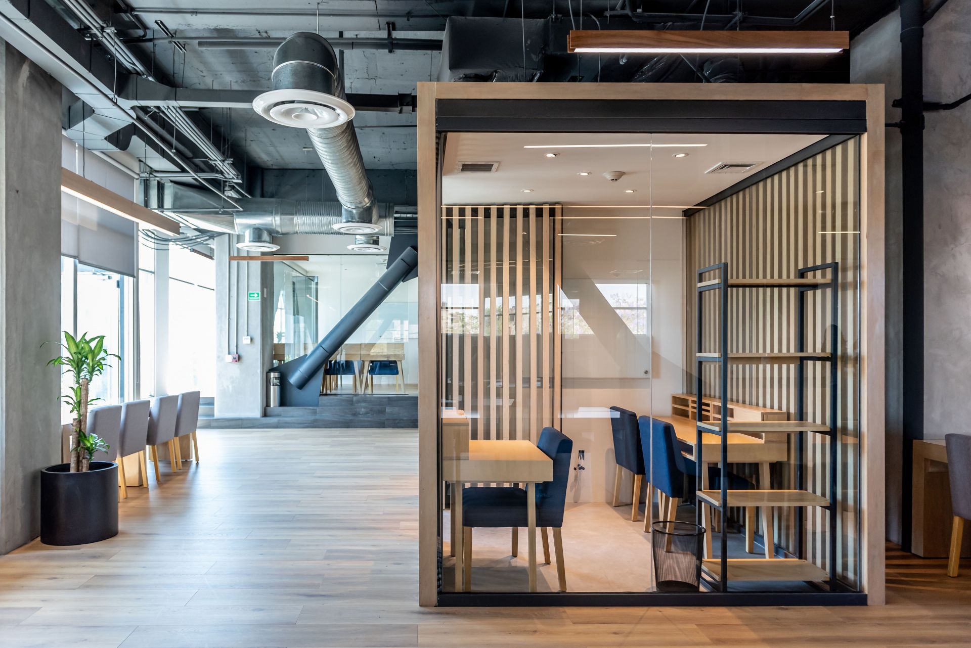 Colabora Guadalajara image 4