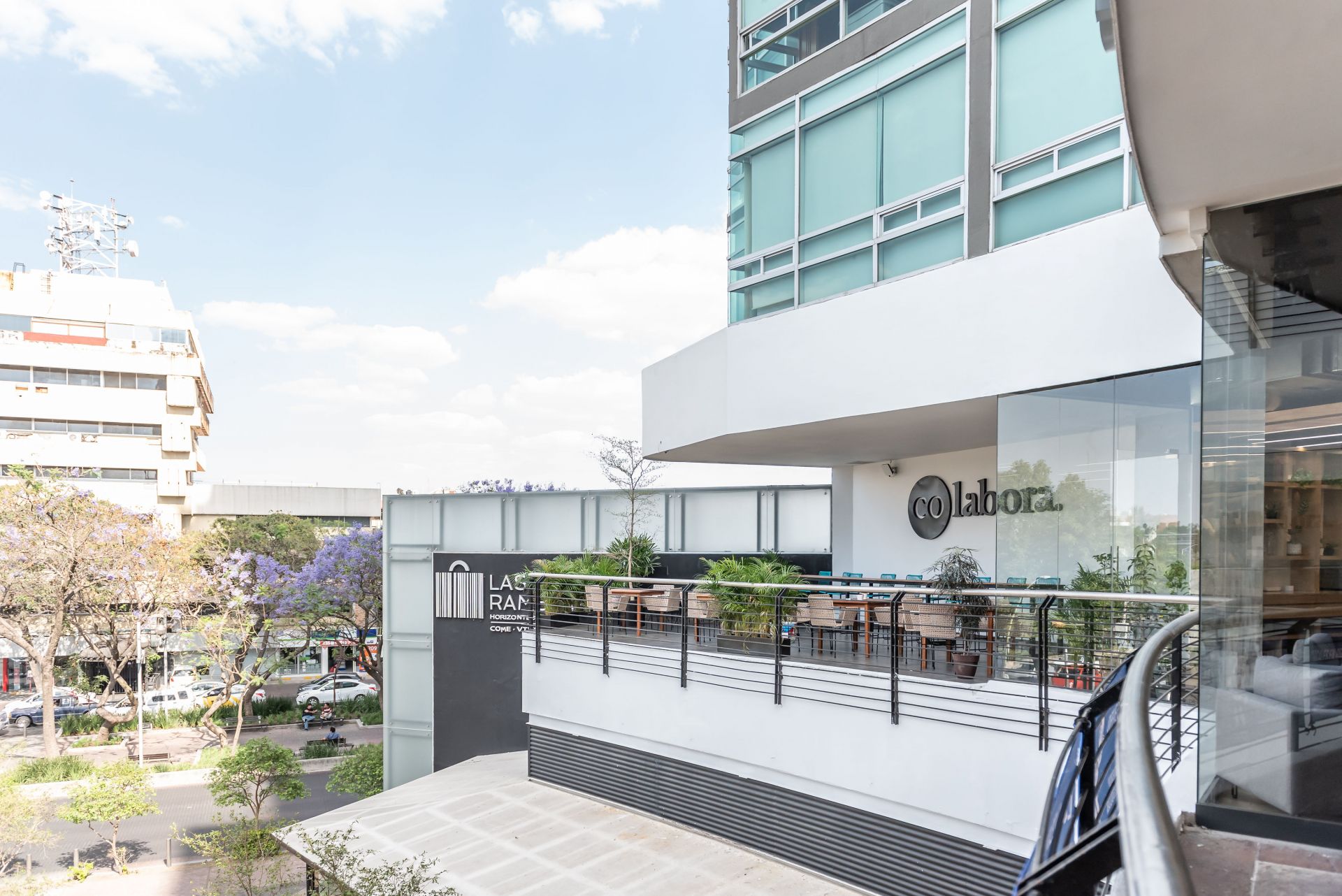 Colabora Guadalajara image 5