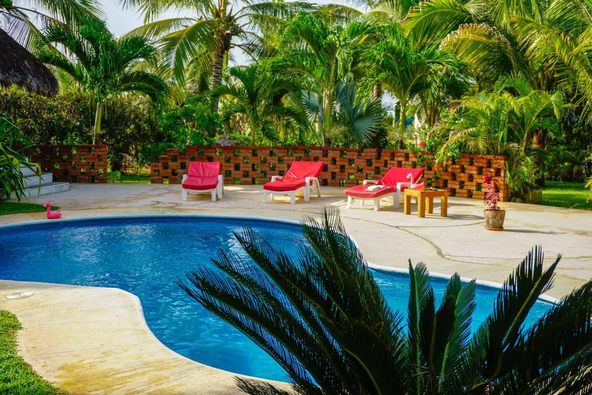 Casa Bibi Coworking image 3