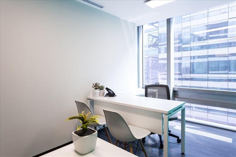 Corporativo SACH image 4