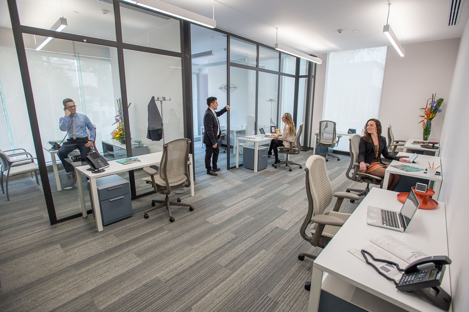 IOS OFFICES CONDESA image 5