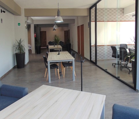 Proyecto 7 Arboledas image 4