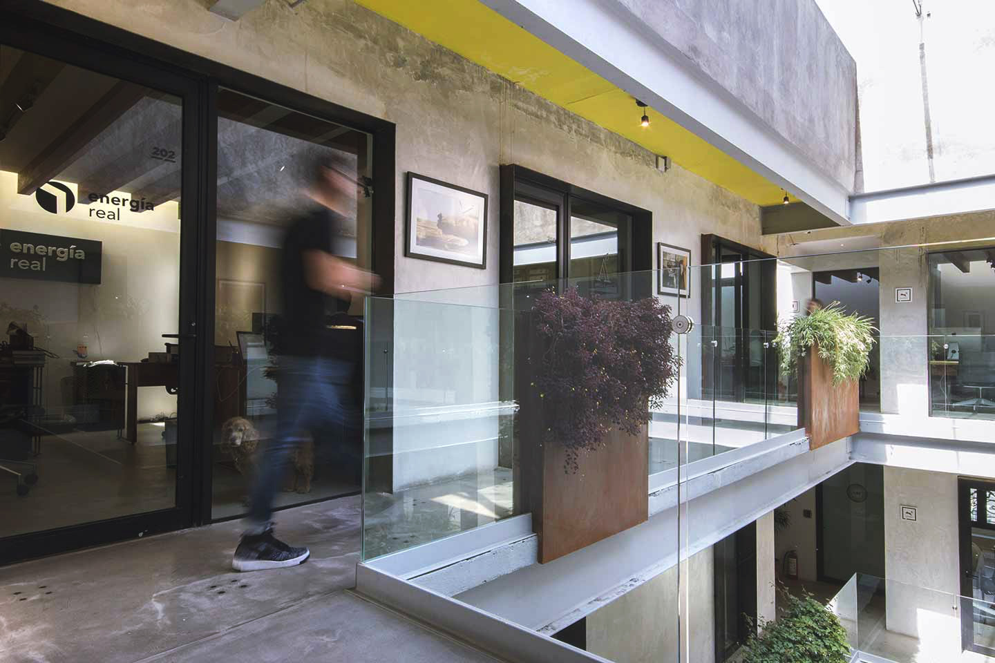 PÚBLICO Puebla 403 image 3