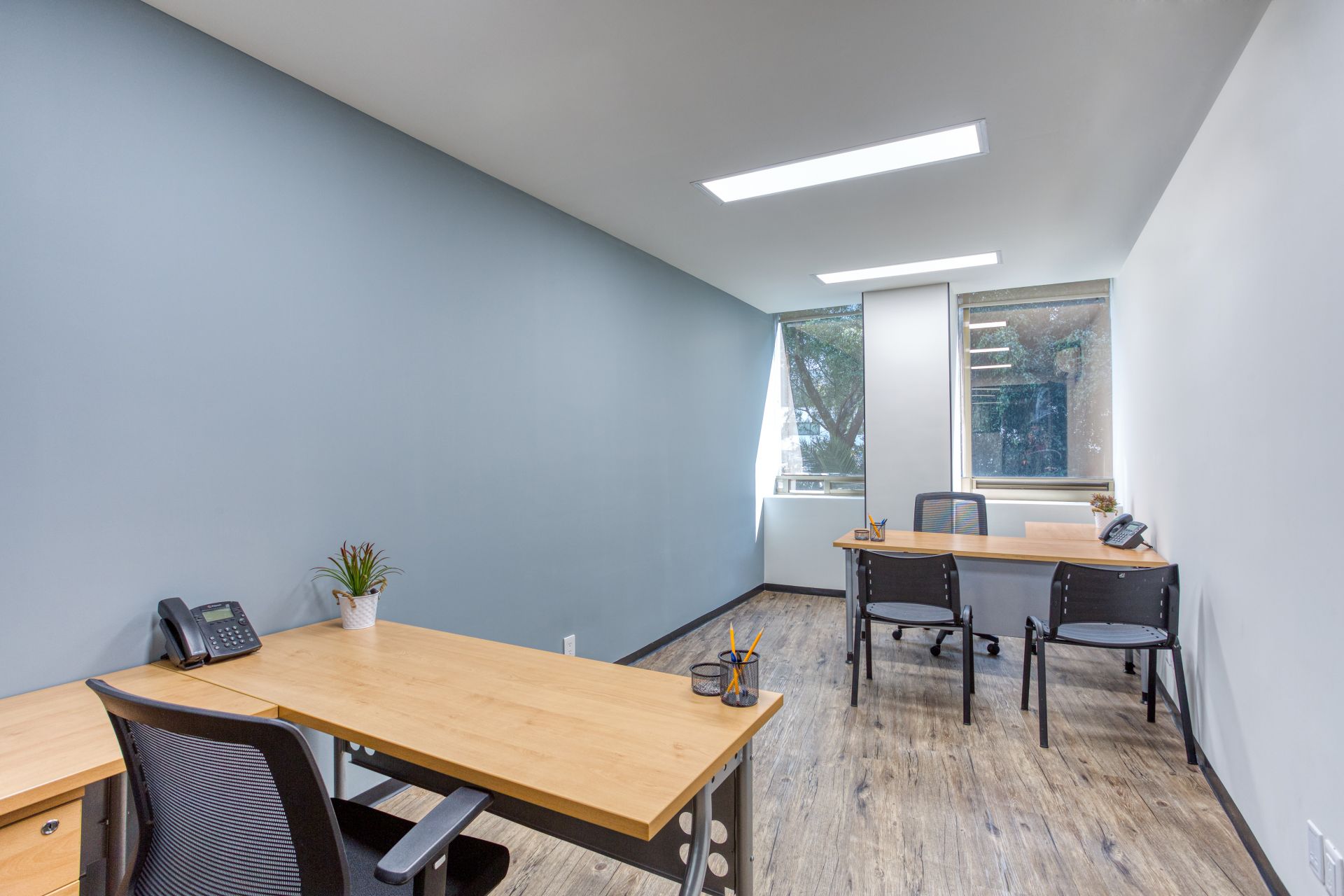 SACH Condesa I image 3