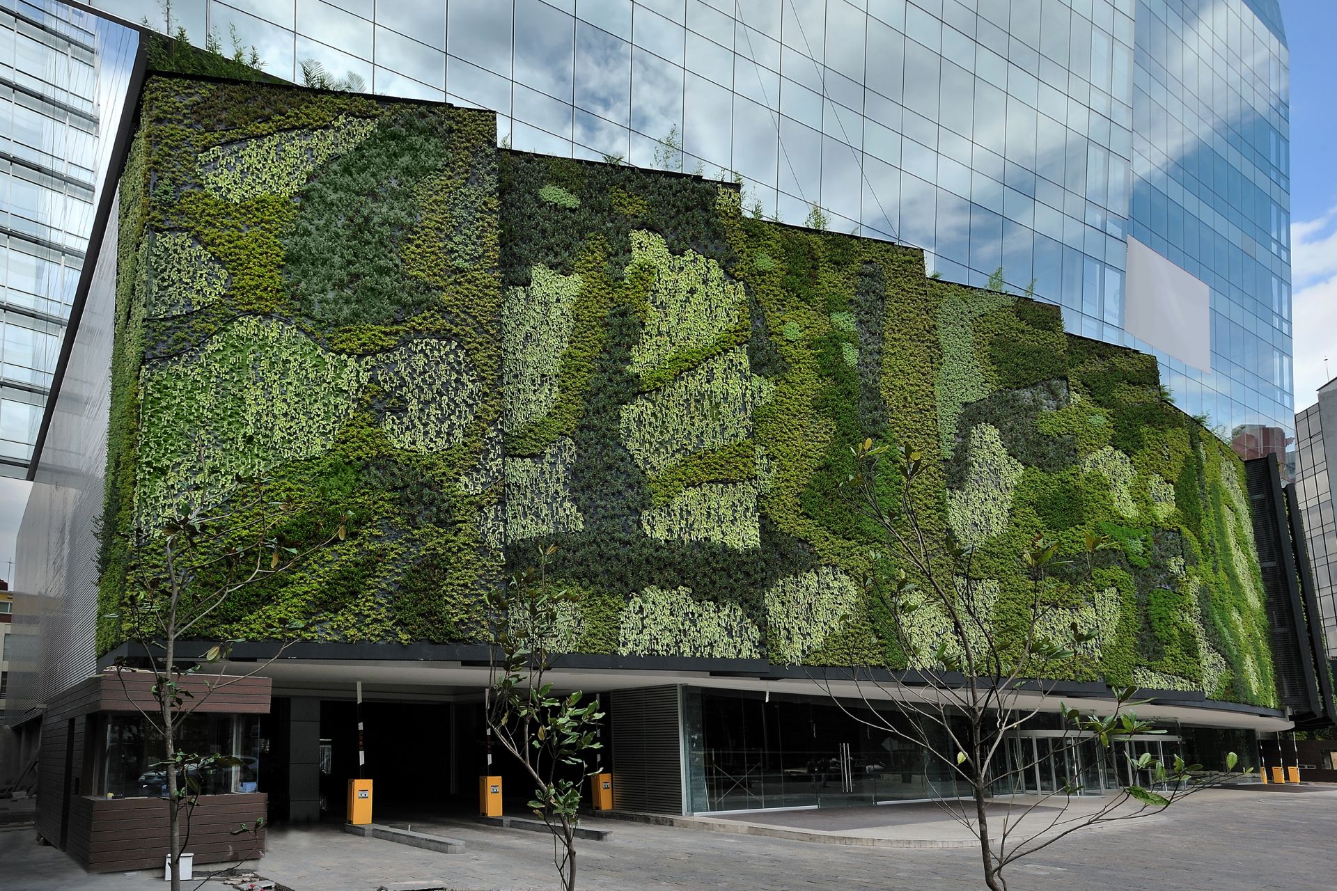 Sach Mariano Escobedo image 2