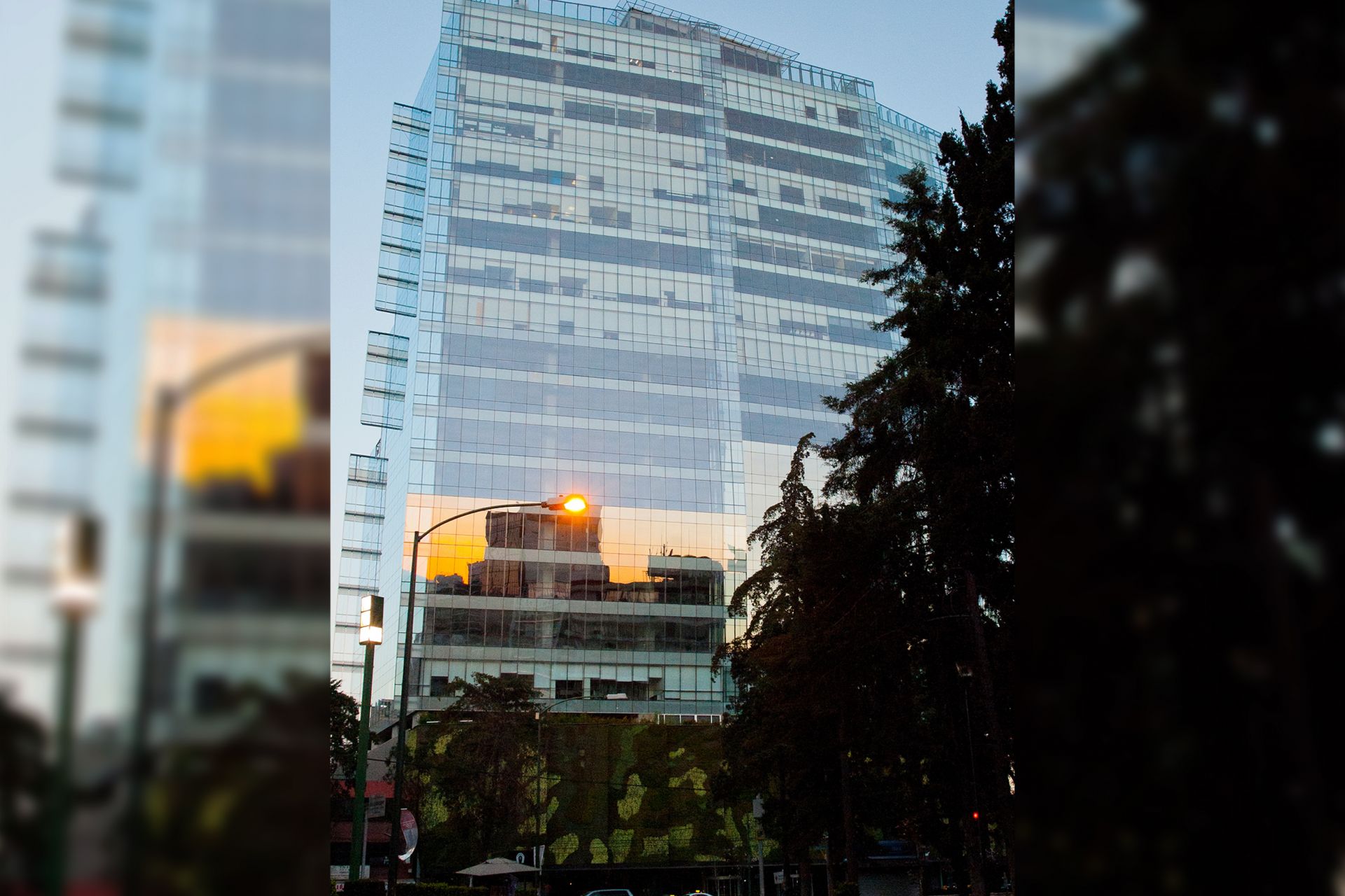 Sach Mariano Escobedo image 3